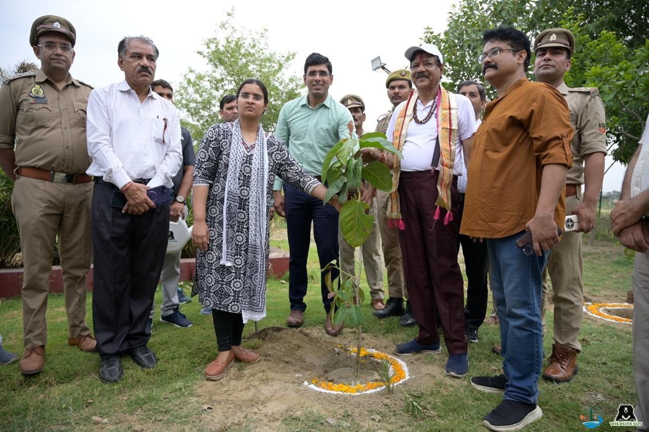 विश्व पर्यावरण दिवस: वाइल्डलाइफ एसओएस का मथुरा में दो हजार फलदार पौधे लगाए 