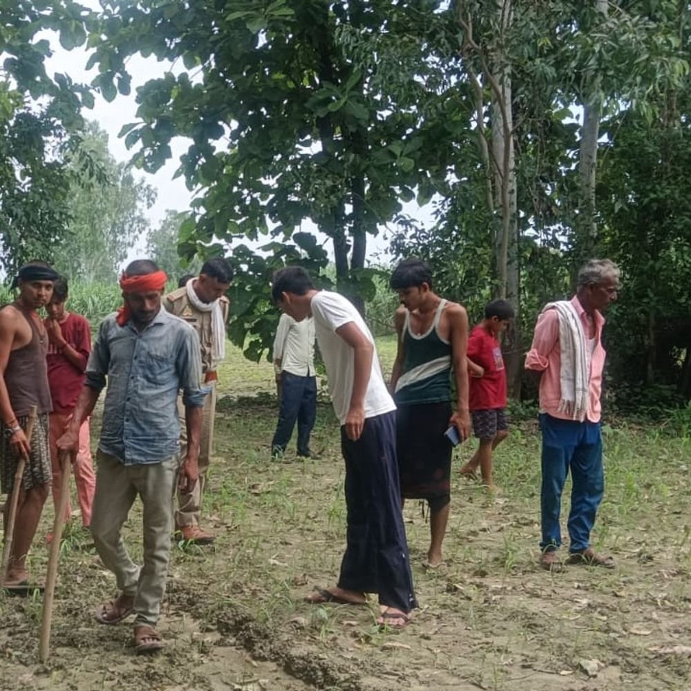 बाघ का शावक दिखने की सूचना पर पहुंची टीम:वन विभाग ने डॉग फैमिली के फुट प्रिंट बताए, 14 दिन पहले किसान की हुई थी मौत