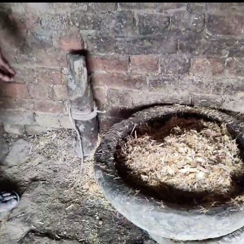 खूंटे की रस्सी काटकर भैंस चोरी:महराजगंज में पीड़ित ने कोल्हुई थाने में दी तहरीर