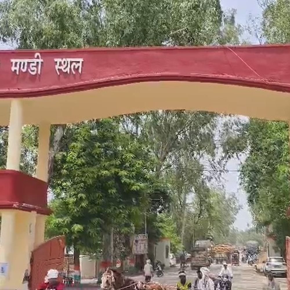 छिबरामऊ मंडी समिति में 3.06 करोड़ के गबन का आरोप:कन्नौज में प्रभारी सचिव और लिपिक पर मुकदमा दर्ज, 3 सदस्यीय जांच टीम गठित
