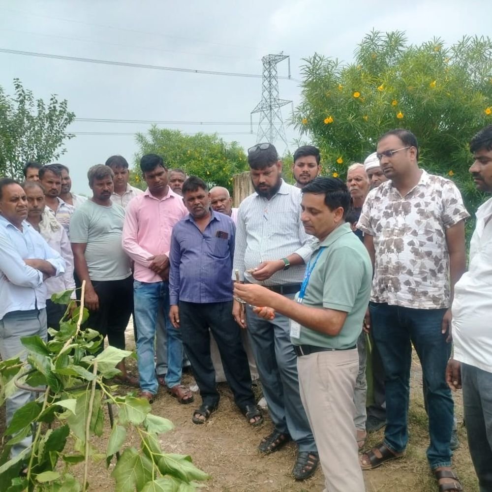 औरैया में रेशम उत्पादन की नई तकनीकों का प्रदर्शन:’मेरा रेशम मेरा अभिमान’ अभियान के तहत किसानों को जानकारी
